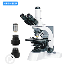 Dark Field Microscope