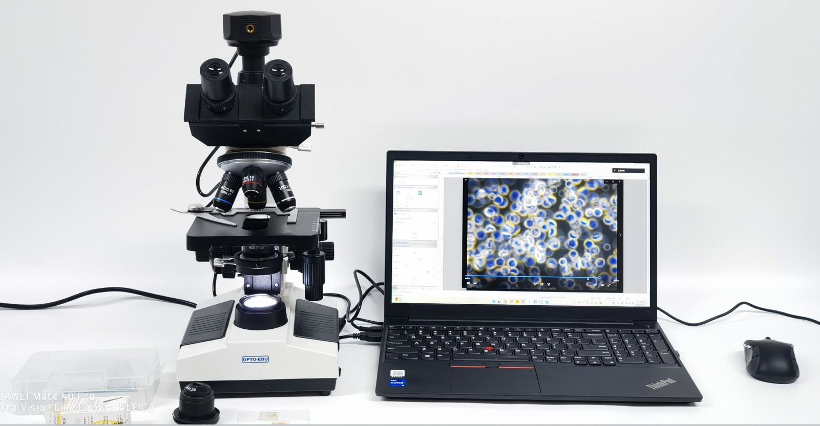 dark field microscope usage
