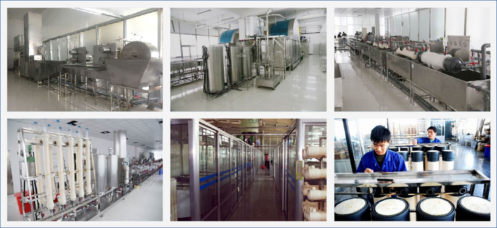 manufacturing base in Jinlin Jinsai-ROCK-HNF TECH. LTD.-7 membrane production lines