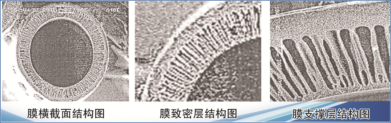 Membrane Structure Diagram-Jinsai Hollow NF system -ROCK-HNF TECH. LTD.