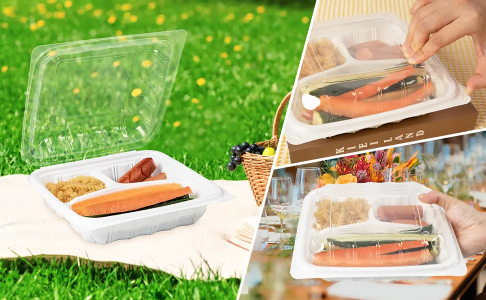disposable take out food containers