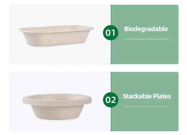 biodegradable takeout containers