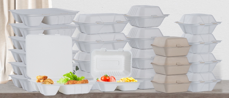 wholesale bagasse food box