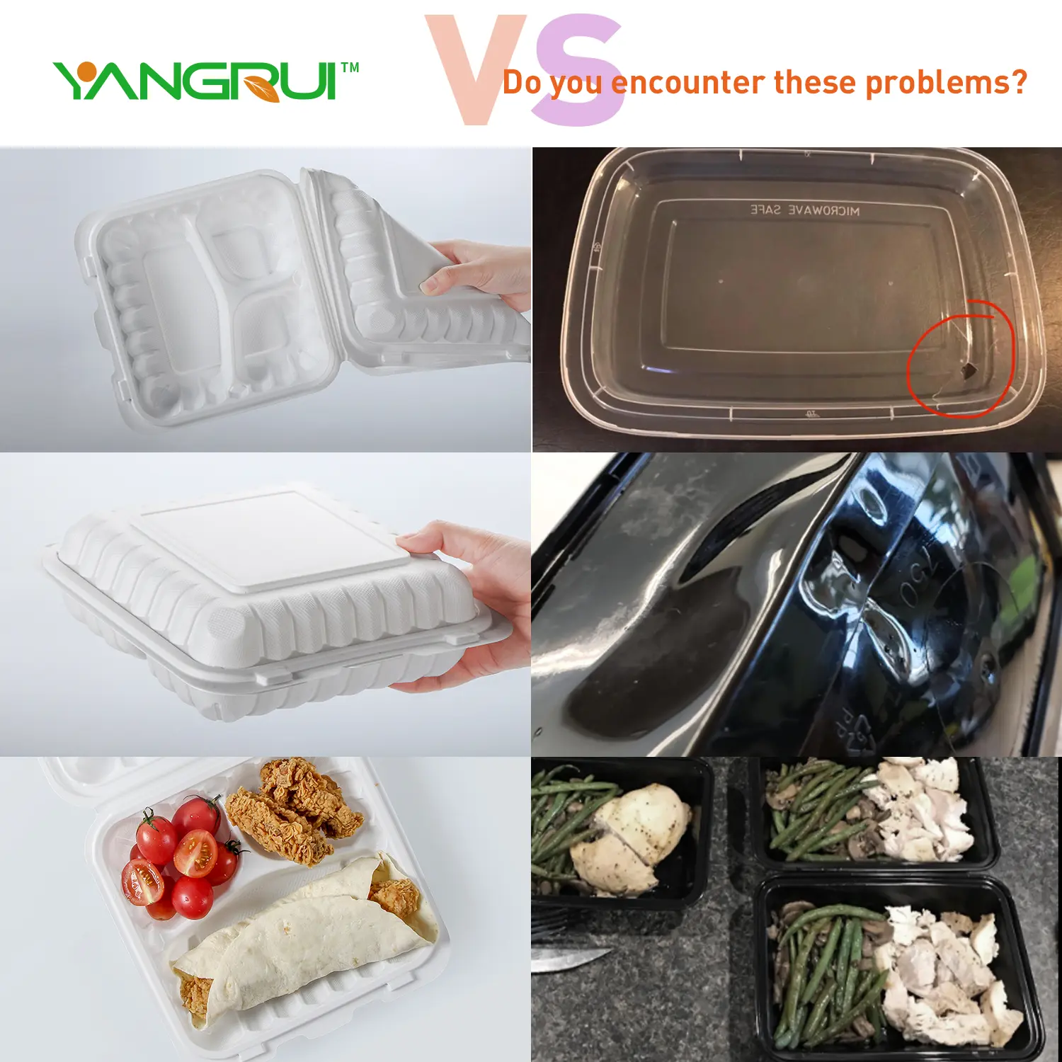 eco friendly takeaway containers