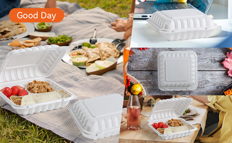 Degradable Lunch Boxes on the ground