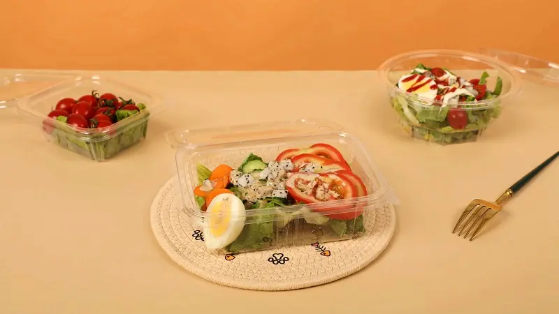 clear hinged take-out containers