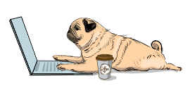 Top 5 Reasons for Dog Obesity 1