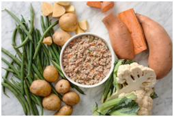 Summer Is the Best Time for Dogs to Lose Weight 2