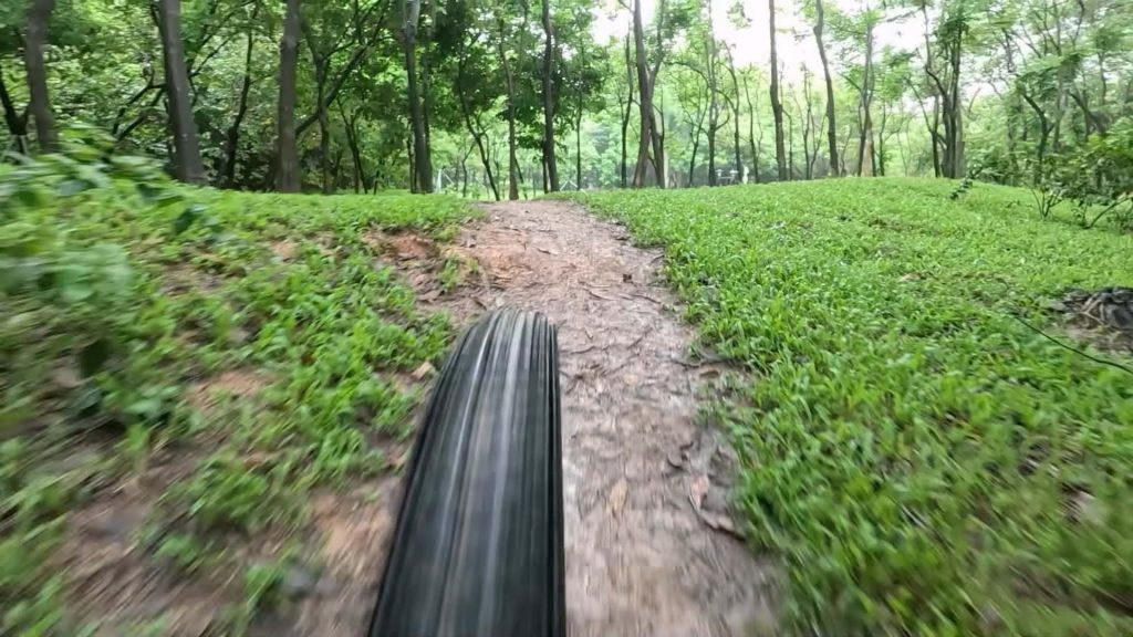 A Mountain Bike Rides through the Green Jungle