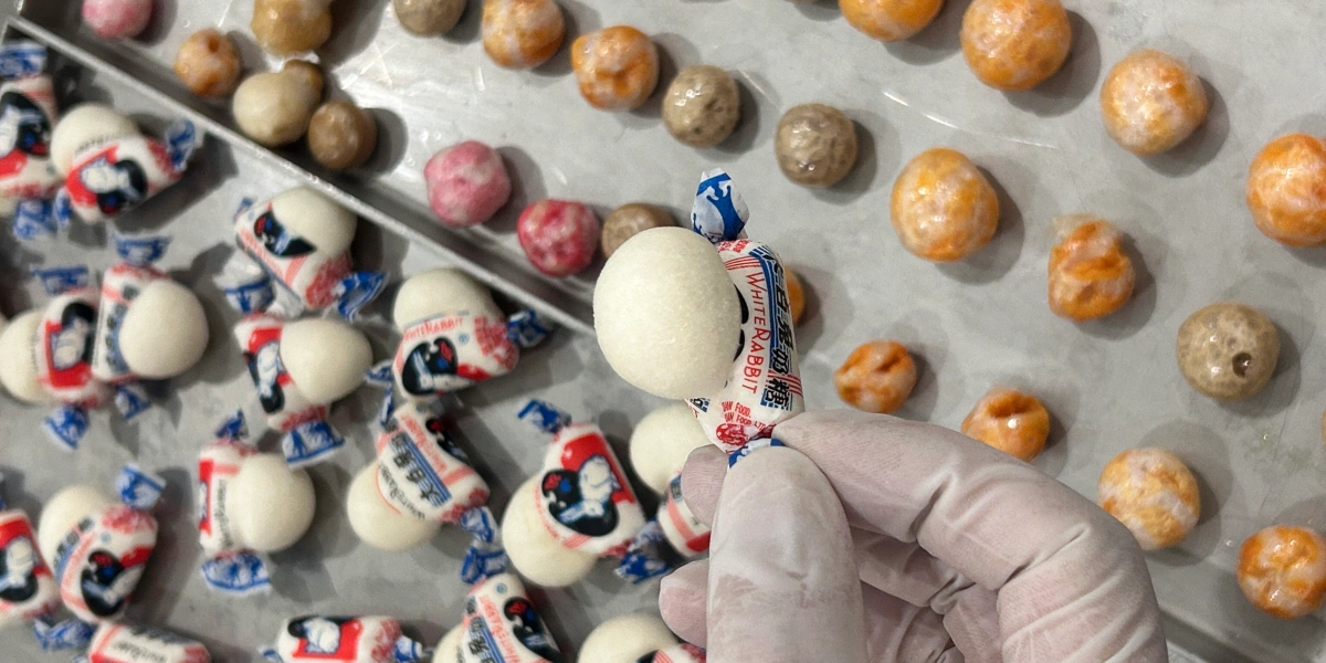 A gloved hand holding a perfectly puffed, freeze-dried White Rabbit milk candy, showcasing its expanded airy texture on a Geliss freeze dryer tray.