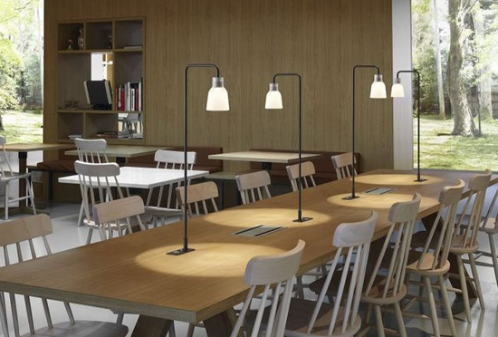 Luces de Acento para Comida