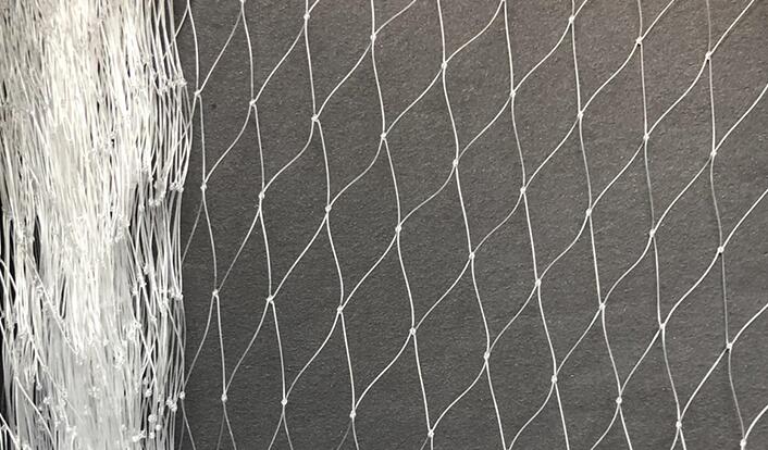 QQ20201019144849.jpg