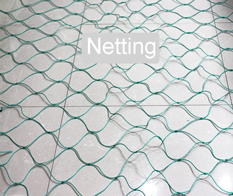 FN008-Detail_01