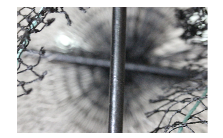 FN004-Detail_10