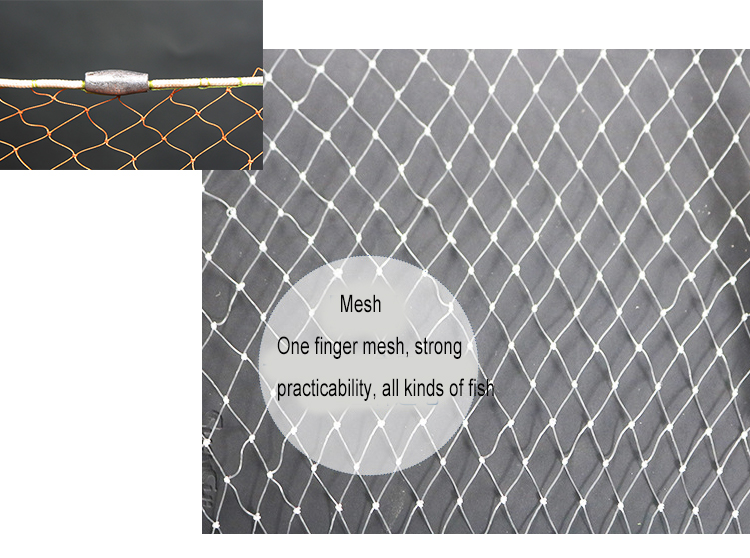 FN002-Detail_08