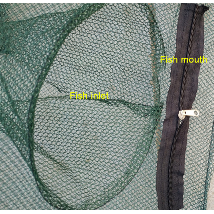 FN003-Detail_05.jpg