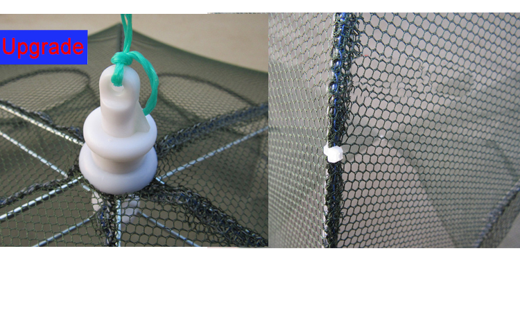 FN003-Detail_08.jpg