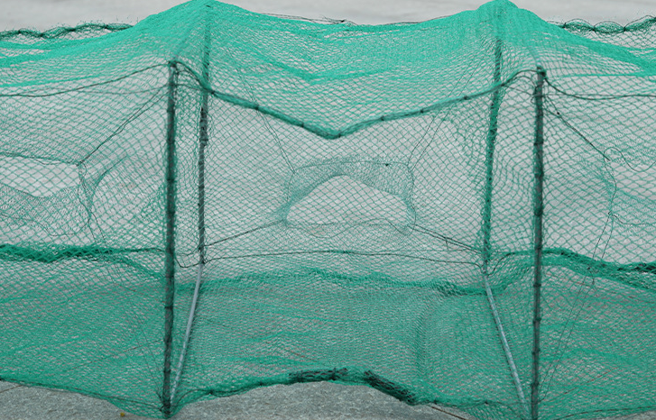 QQ20200716084703.png