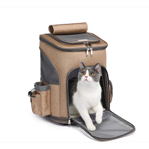 Carried PET trolley backpack traveling convertible backpack