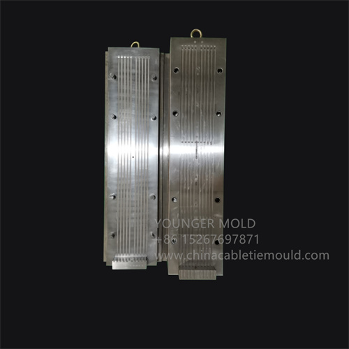 nylon cable tie mold supplier
