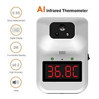 Wall mounted thermometer