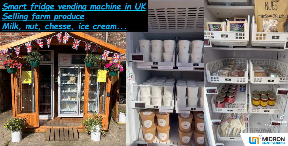 ice cream vending machine,freezer vending machine,retail vending,retail vending machine,smart vending machine