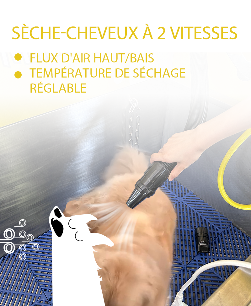 Self-Service Dog Wash Machine two speed dryer high low airflow