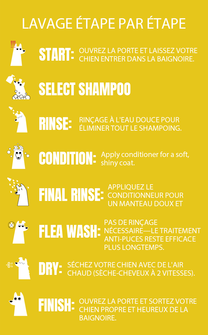 Self-Service Dog Wash Machine step by step washing guidance