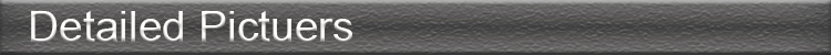 women fashion waist belt,fashionable women belt,women waist belt,waist belt for women,fashion women waist belt
