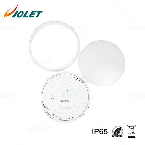 IP65 Outdoor Waterproof Light with Motion Sensor Function, Ceiling Light Manufacturer