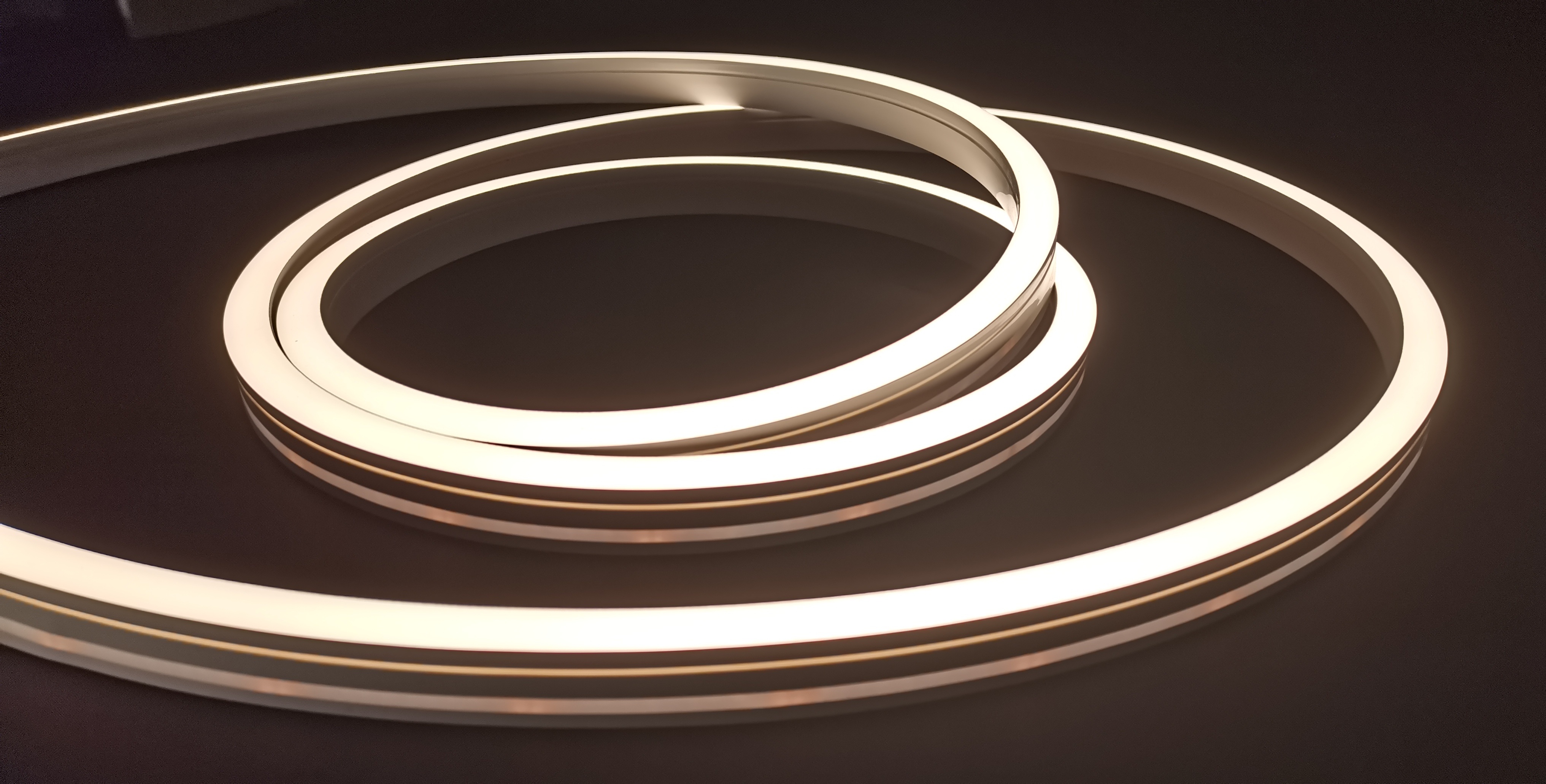 silicone neon strip
