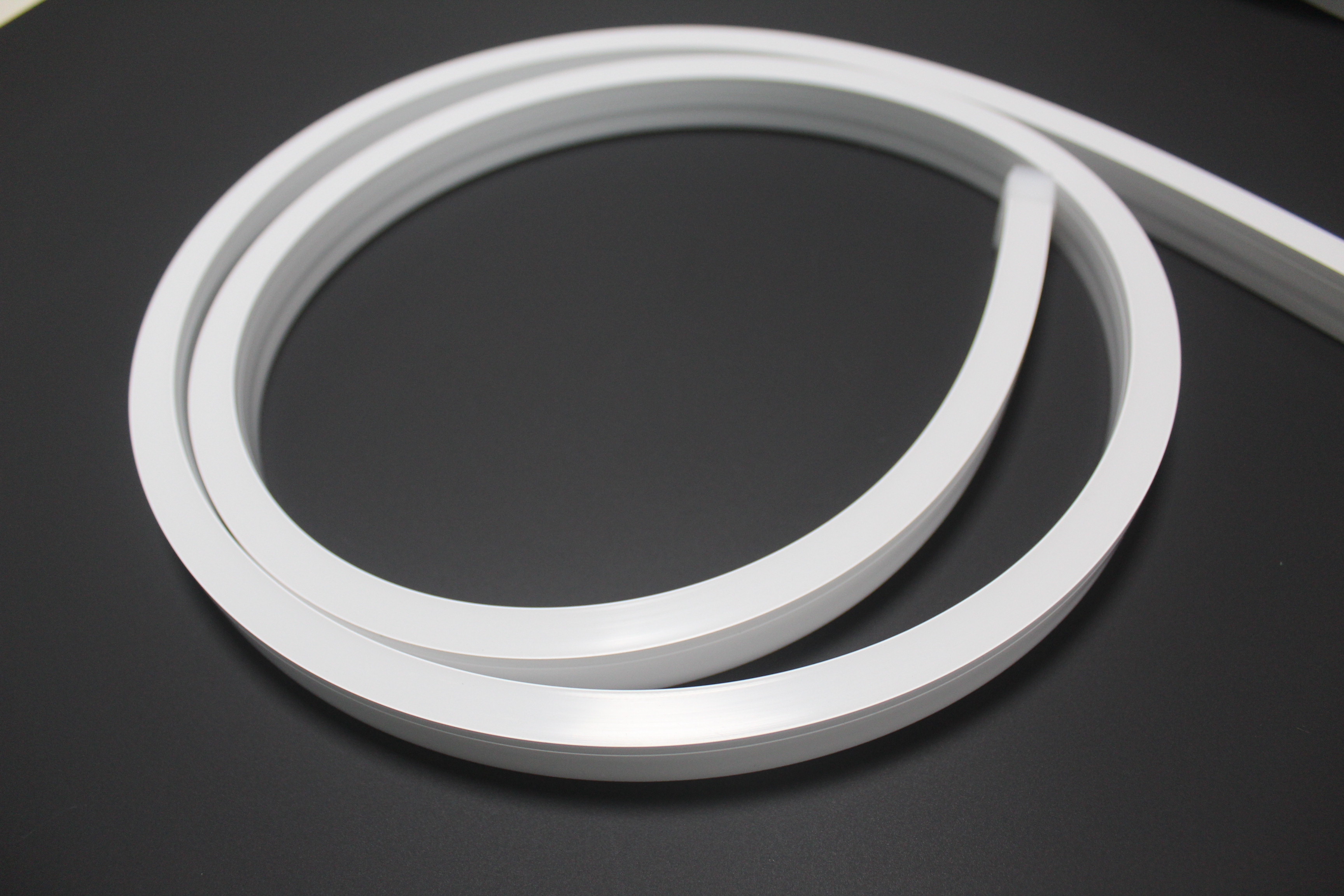 silicone neon strip
