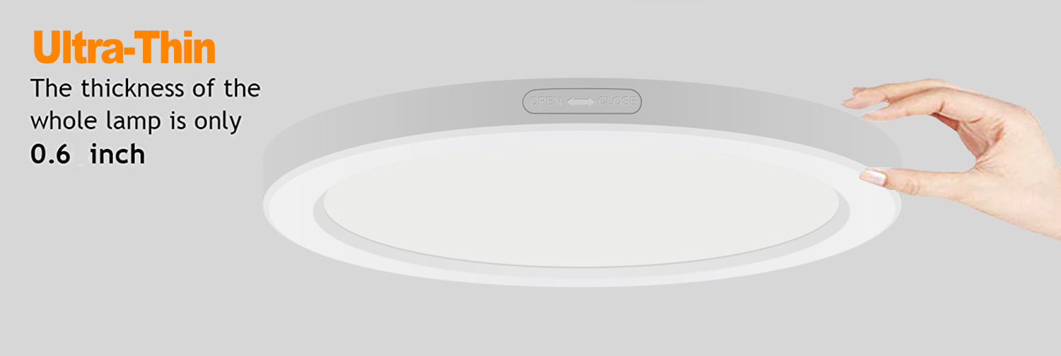 LED Ceiling Light