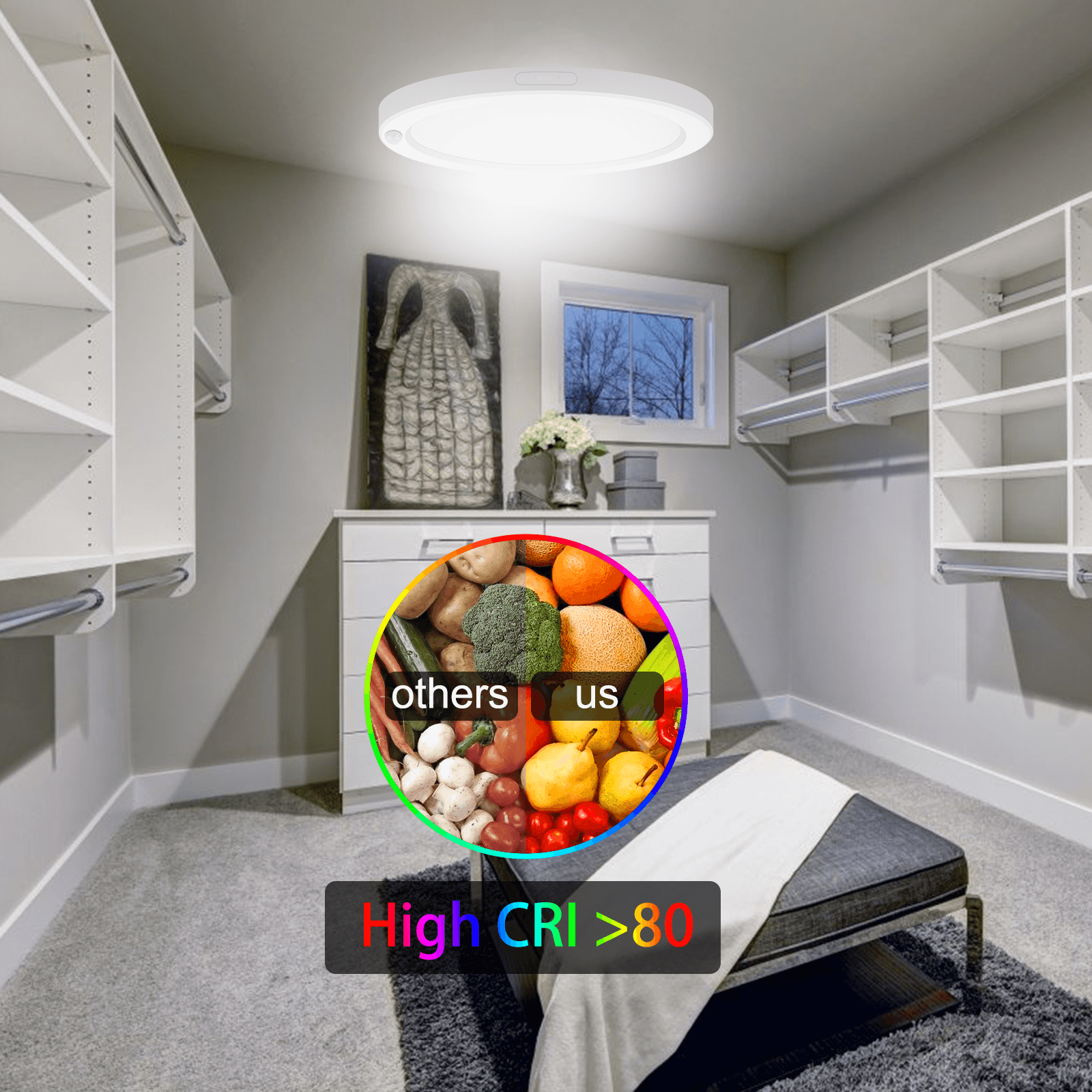 LED Ceiling Light
