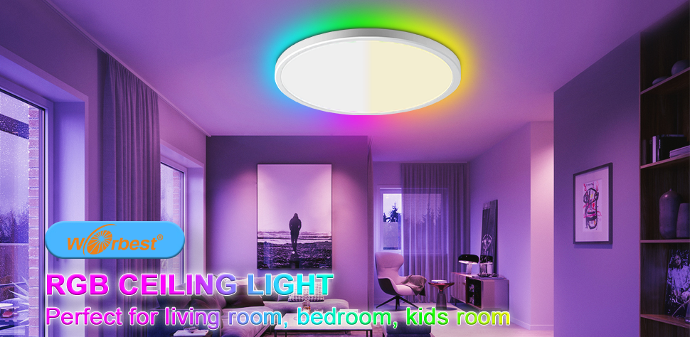 RGB Ceiling Light