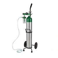 Single cylinder D/E oxygen cylinder car