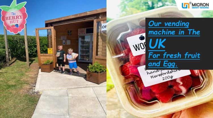Food Vending Machine -18~20℃ refrigerated ready meals vending machine for selling fresh fruit in the UK