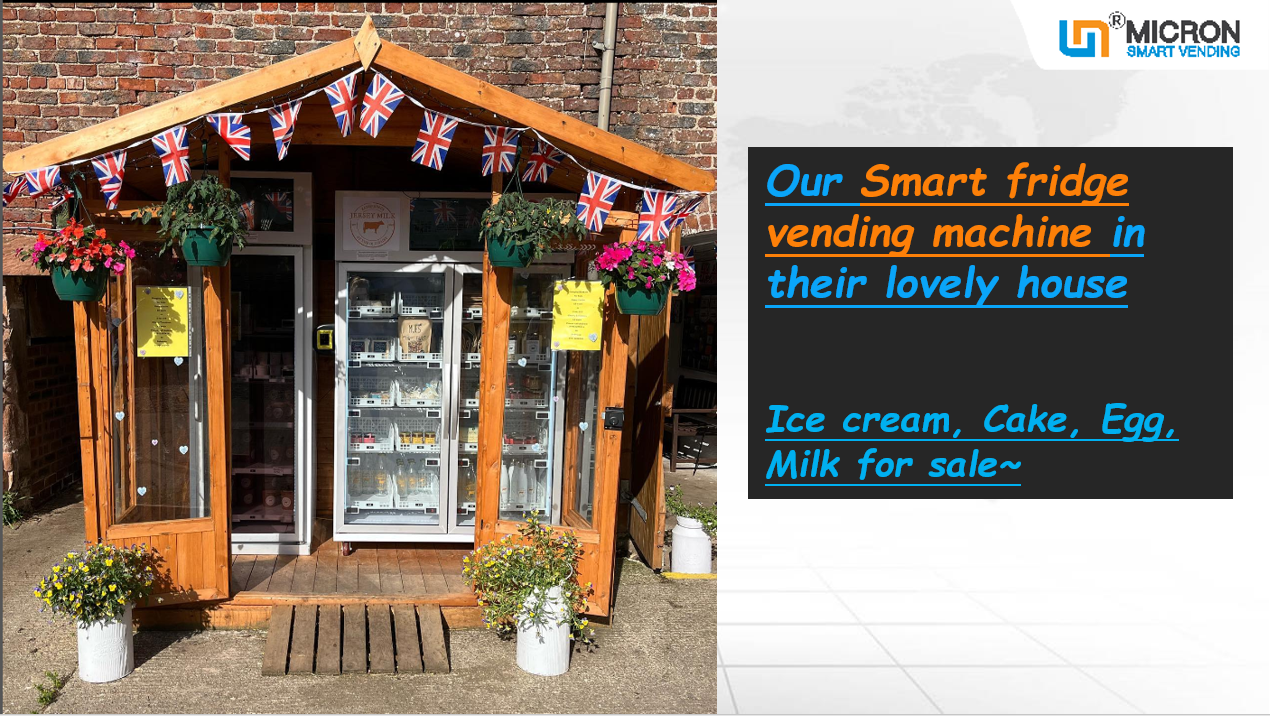frozen vending machine ice cream vending machine in UK for sale ice cream coke egg milk