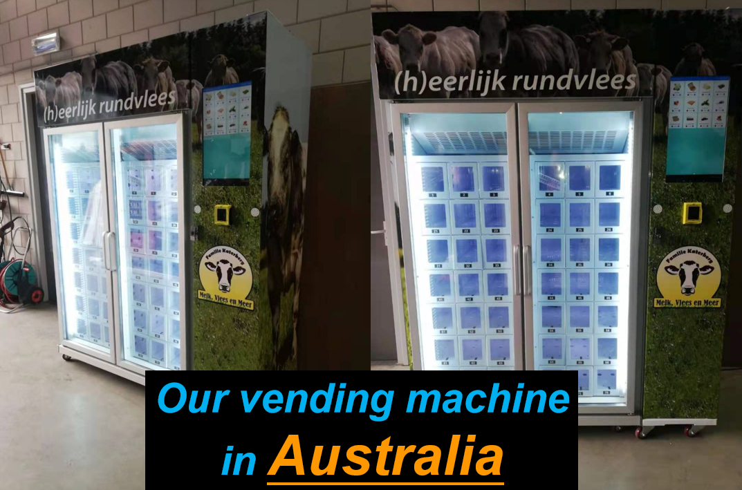 WEIMI Frozen Food Vending Machine for Ice Cream Seafood in Australia
