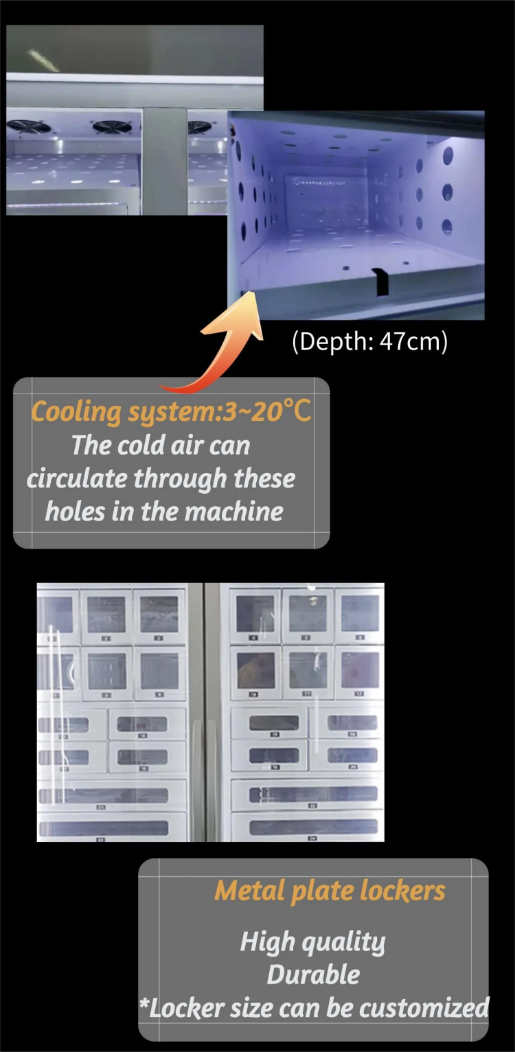 Custom Fresh Bouquet Vending Machine for Pot Plants Rose cooling system 3~20℃