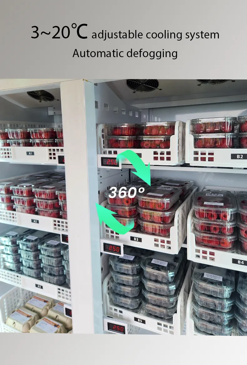 Smart Fridge Vending Machine for Malaysia weight sensing technology