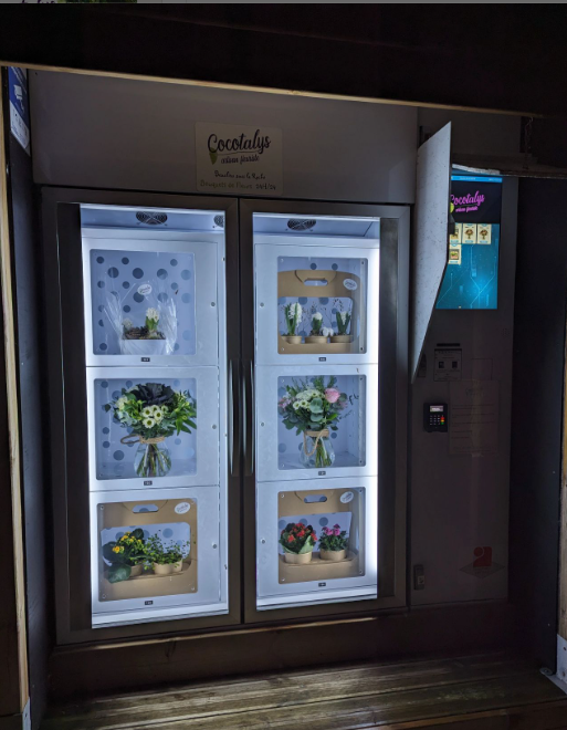 Custom Fresh Bouquet Vending Machine for Pot Plants Rose