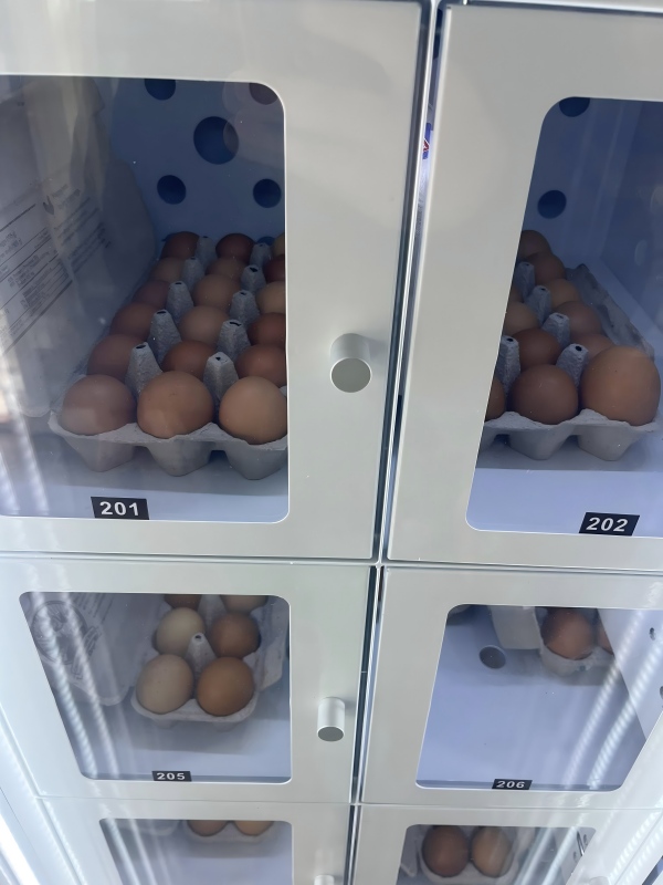 Farm-to-table Farm Fresh Vending Machine Sell Direct & Boost Profits