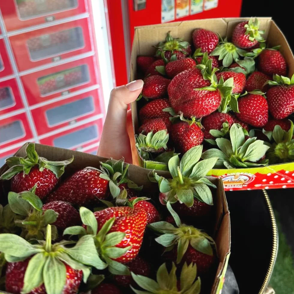 Pittalis refrigerated strawberry vending machine lockers for packaged berries in Cyprus
