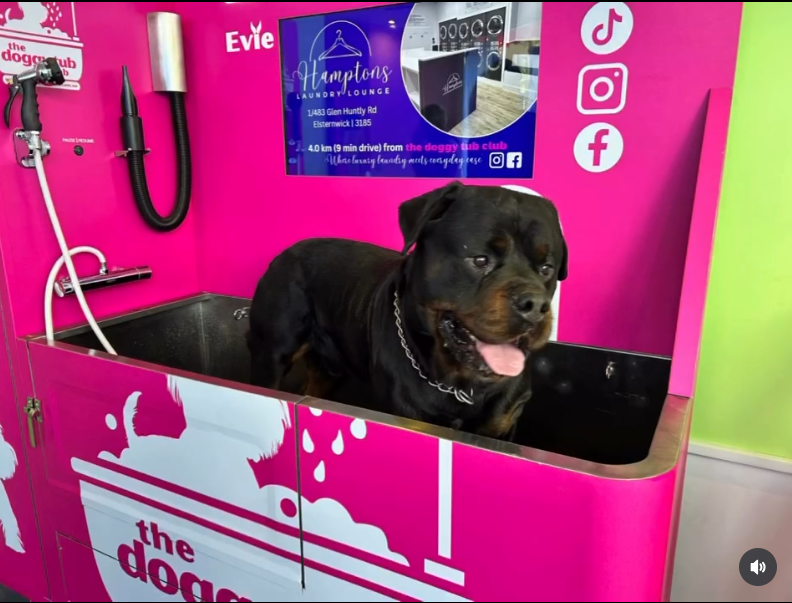 Self-Service Dog Wash Machine in Australia