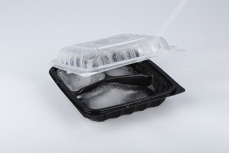 3 compartment freezer safe food box