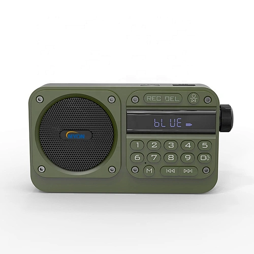Multifunctional USB TF Earphone Stereo Small Mini Size Home Radio Bluetooth FM Portable Radio numerique With Screen
