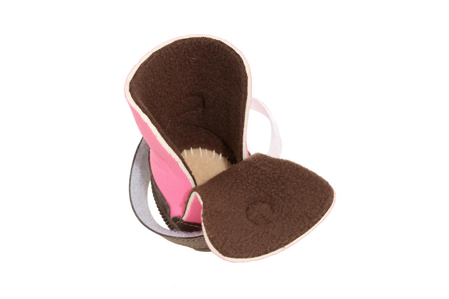 winter boots for dog