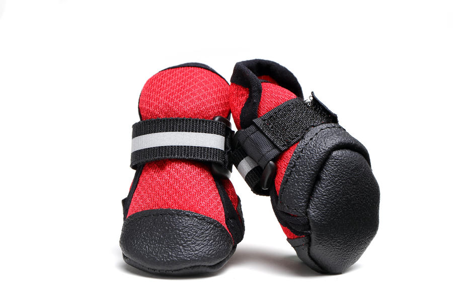soft bottom dog boots