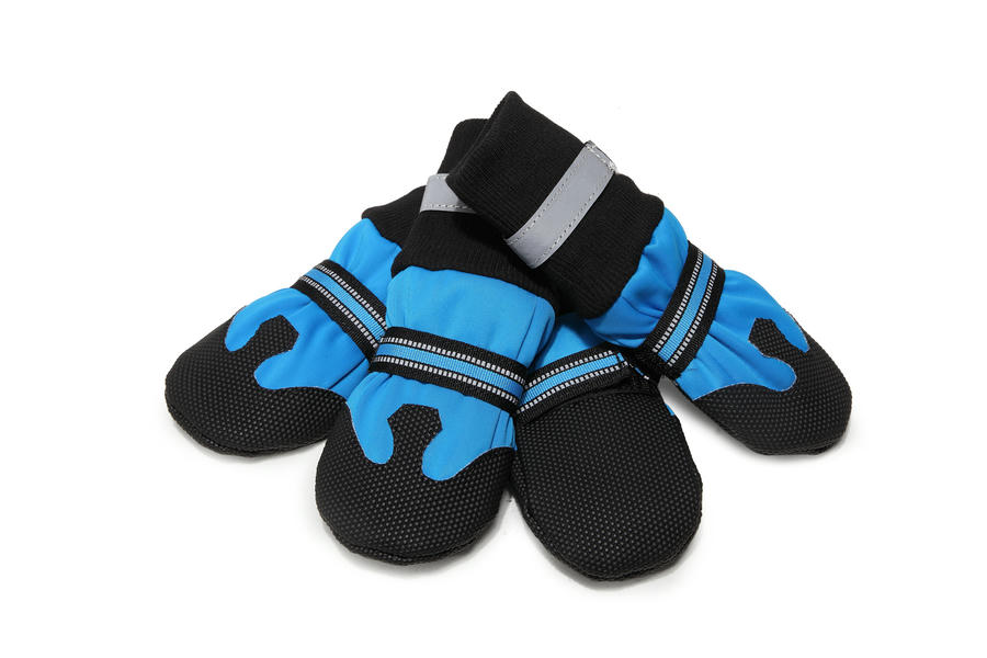 soft sole dog boots